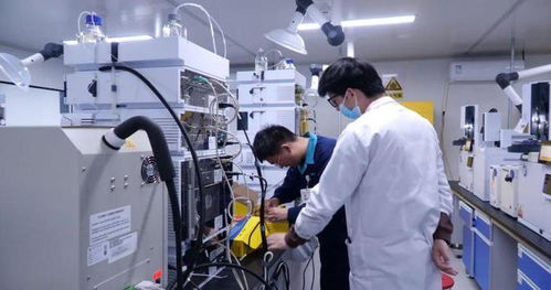 鞏留縣企業發展注入新動能帶動就業促增收