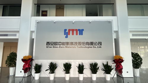 科學(xué)家精神融入產(chǎn)業(yè)模式突破 西安經(jīng)開區(qū)這樣打造新材料高地